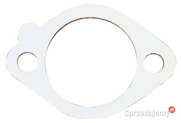 Uszczelka filtra powietrza 272296 Kamionna