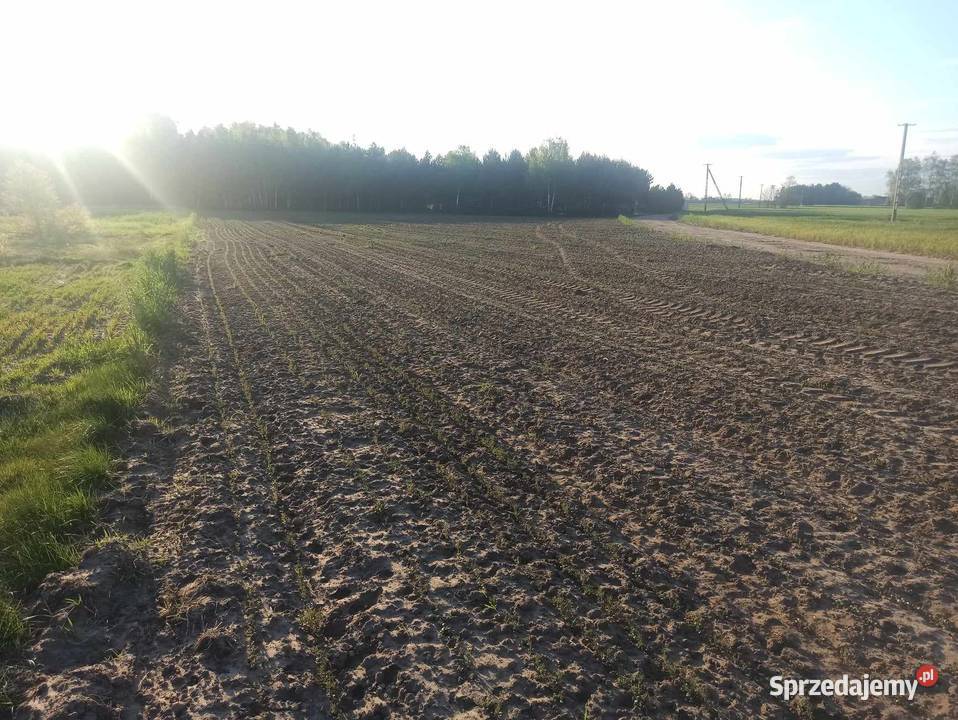 Zabudowa Zagrodowa W Gospodarstwie Rolnym Piątek - Sprzedajemy.pl