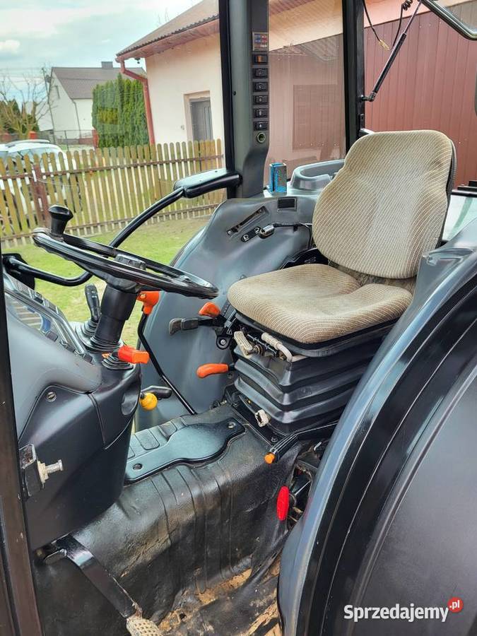 Holland sadownik podkarpackie Dąbrowica sprzedam