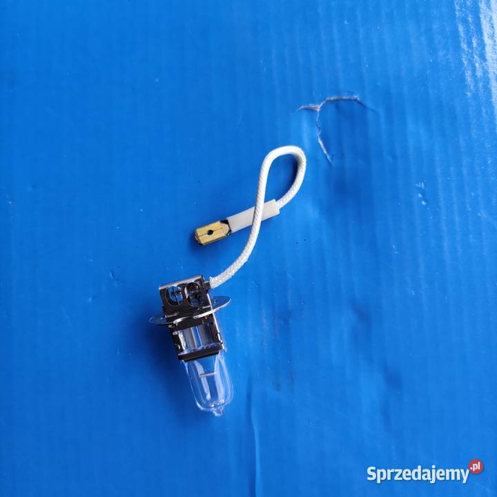 Żarówki H1 H3 H8 H10 Melanów