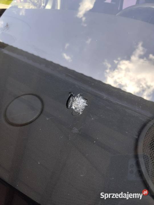 Sprzedam Renault Trafic czarny Trafic Strachocina