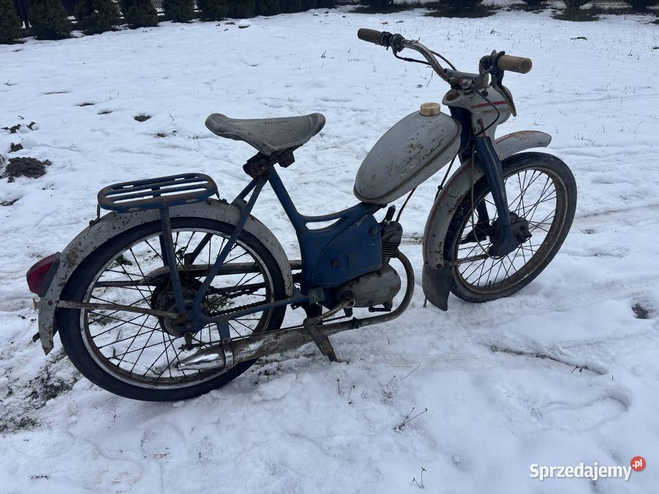 Komar Sztywniak oryginał Radomsko sprzedam