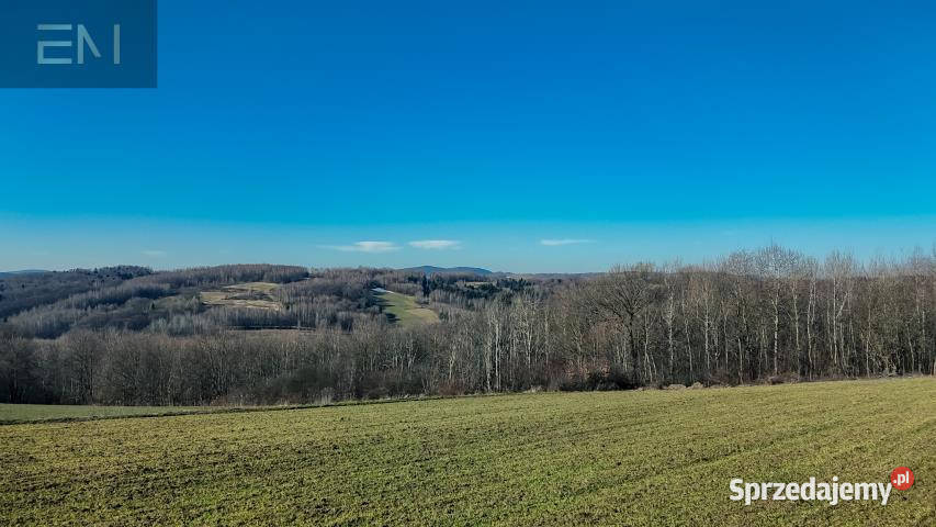 Działka Niewodna 5600m2 rolna