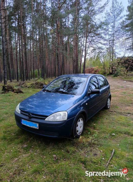 Opel Corsa C 2001r codziennie użytkowany kobietę Rok produkcji 2001 Opel Przasnysz sprzedam