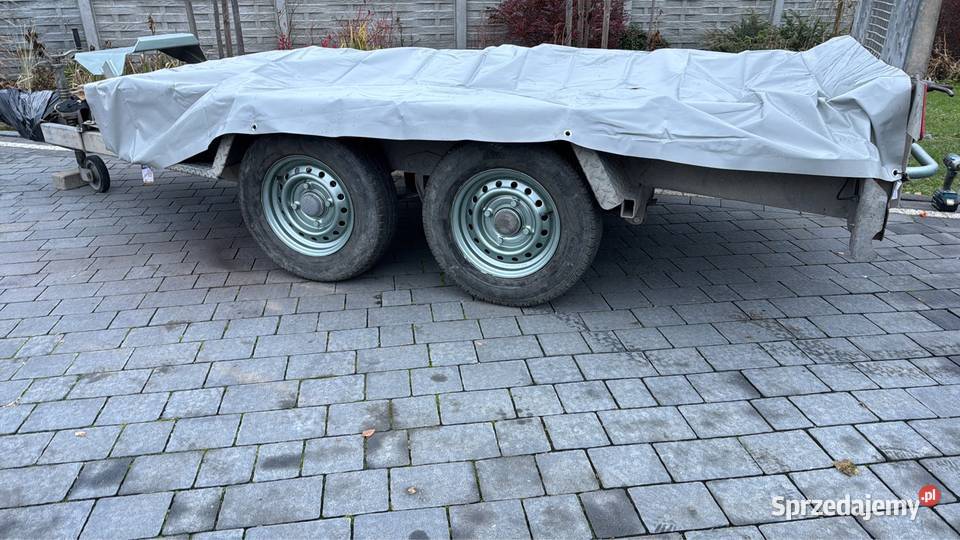 Przyczepa Ifor Williams 2015 pod minikoparkę Kielce