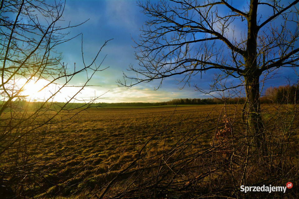 Grunt 1500m2 Jawidz 29m