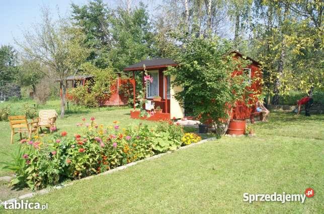 Działka rekreacyjna RODPestka Nowy Dwór Mazowiecki