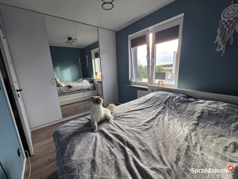 Nowoczesne 3 pokoje na Grunwaldzie Osiedle internet Poznań sprzedam