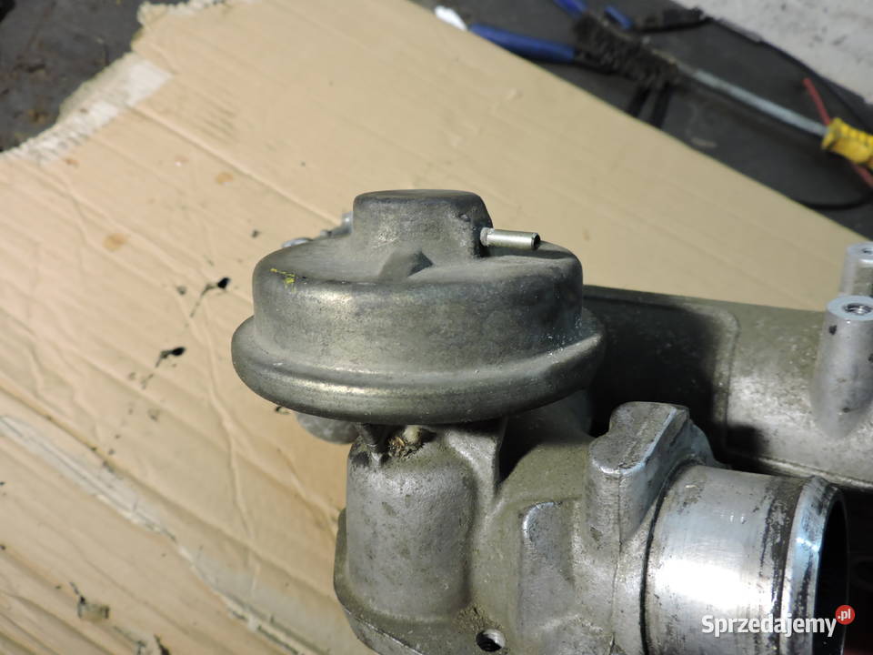 Kolektor ssący Ford focus mk1 18 TDCI kolektory ssące Myszków