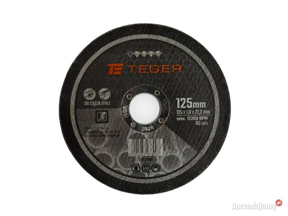 Zestaw 10 tarcz korundowych TEGER 125x10 mm Kowale Oleckie