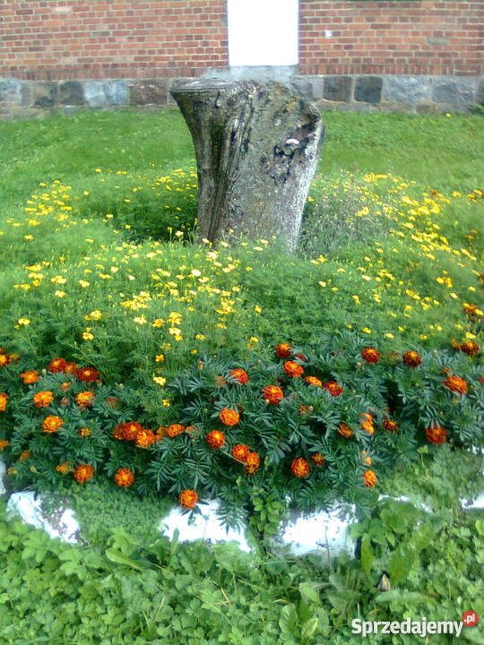 Dom z czerwonej cegły Liczba pokoi 3 Ornowo