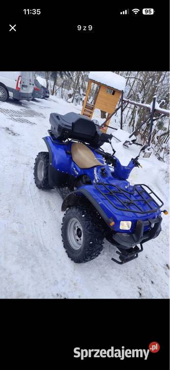 Suzuki 700 quad Groń