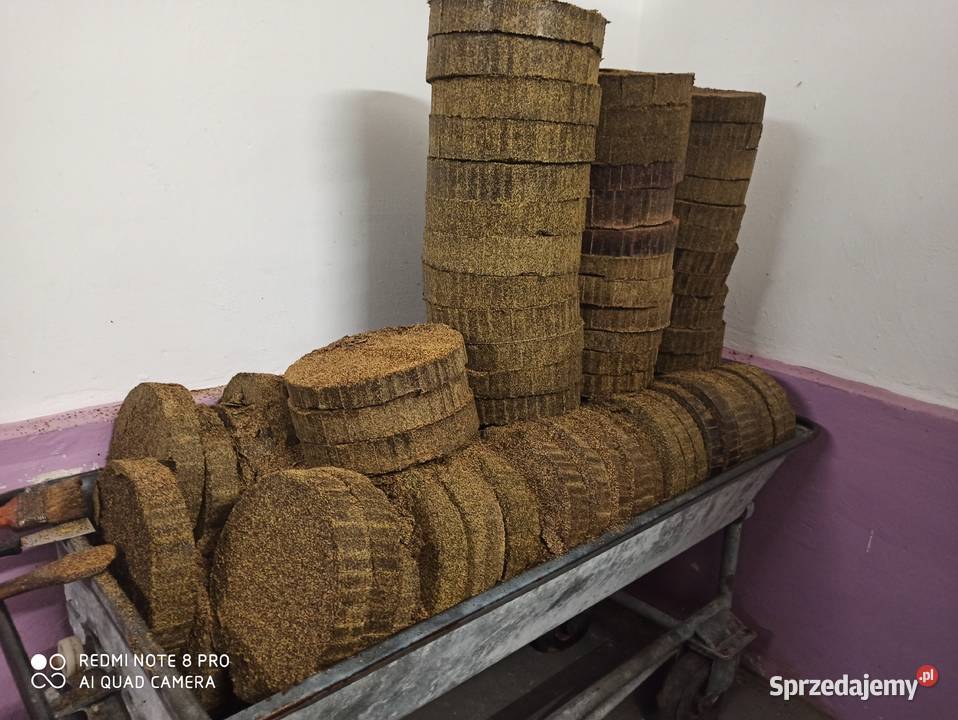 Makuch rzepakowy na paszę Chełm