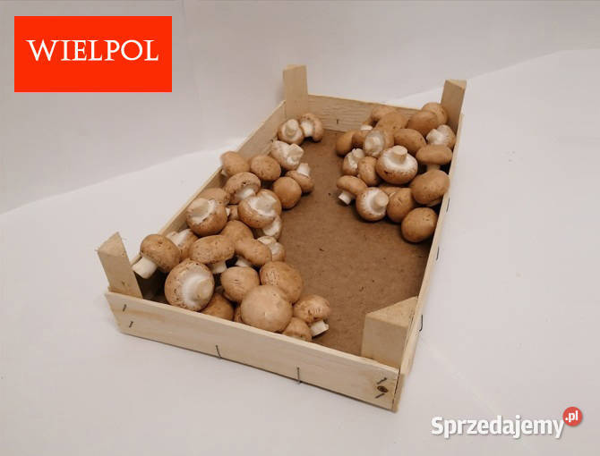 Sprzedaż skrzynek drewnianych do pieczarek Pozostałe Wielichowo