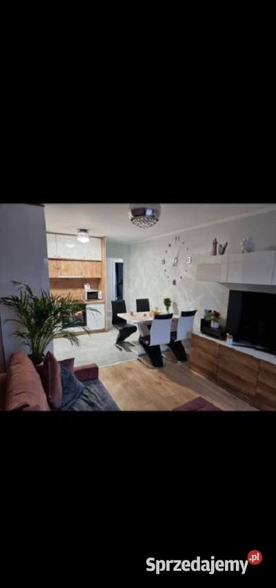 3pok 62met Kurlandzkiej OGRÓDKOMÓRKA2MP Wrocław Sprzedaż