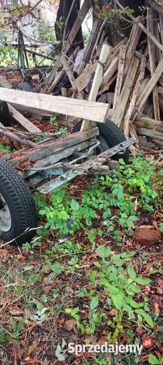 Wozy konne i przyczepka Jelenia Góra