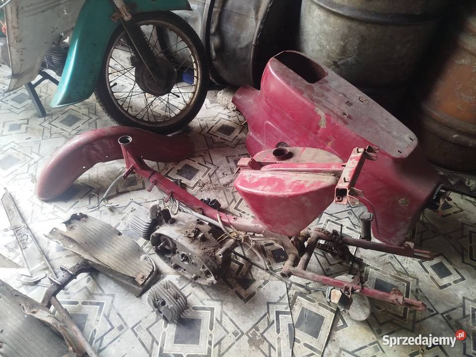 Jawa pozostałości mazowieckie Siedlce