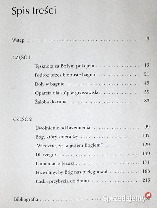 Modlitwy na depresję Terapia duchowością Rachel Rok wydania 2005 Chełm