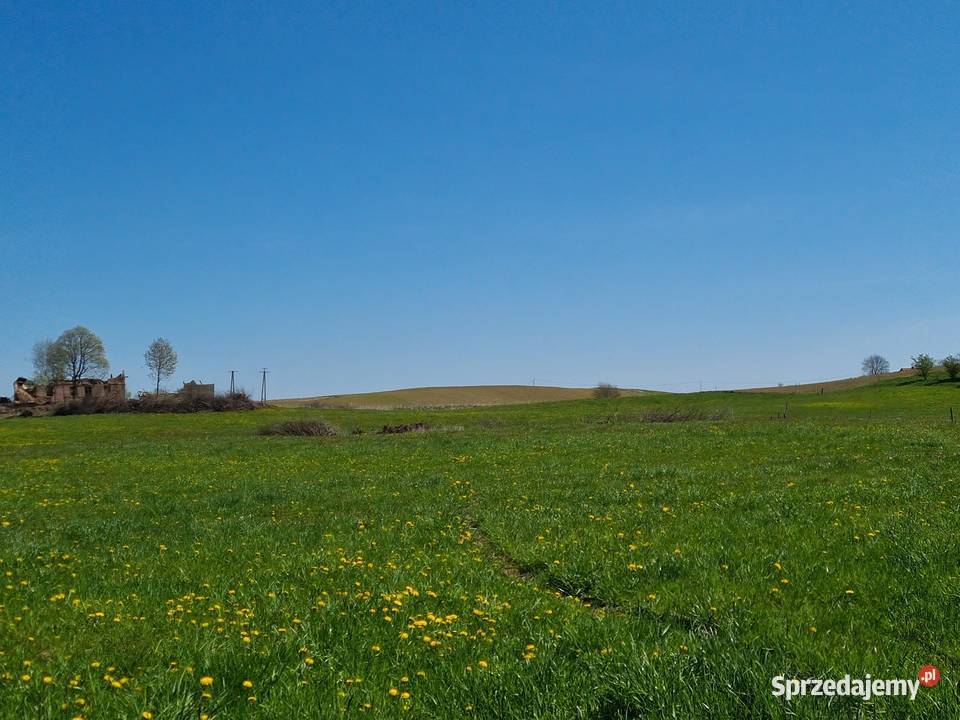 Tania budowlana jeziorem Blanki
