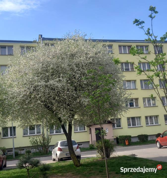 Sprzedam mieszkanie 1 Maja w Suwałkach 57m2 Suwałki