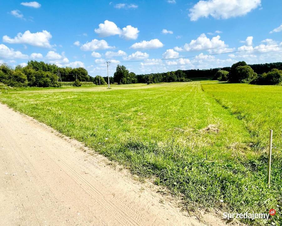 Działka budowlana z dostępem do rzeki 119ha kujawsko-pomorskie Wrzeszewo