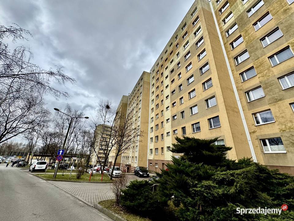 Mieszkanie dwupokojowe w super lokalizacji w śląskie sprzedam
