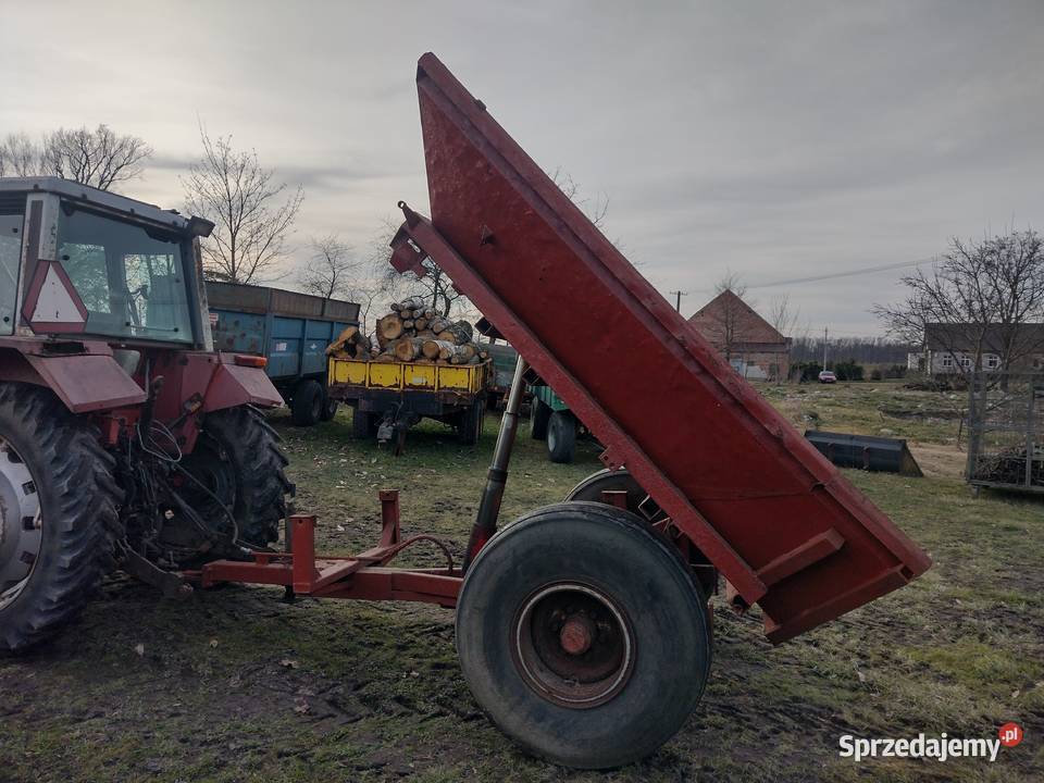 Waga do ważenia bydła inwentarzowa sprzedam