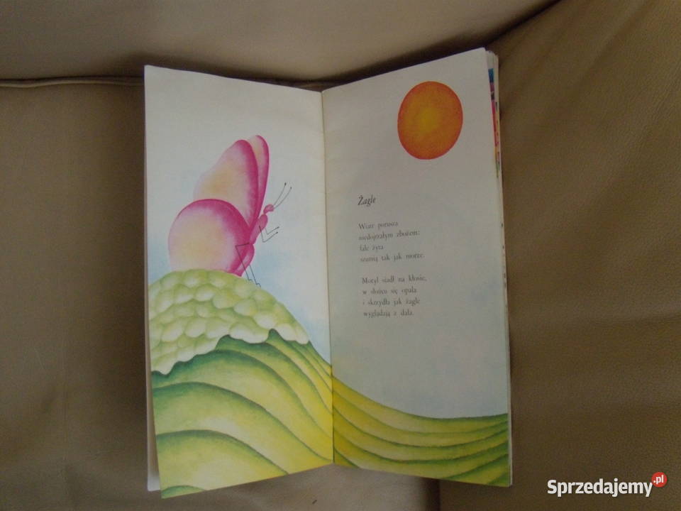 Makówka i wiatr Wincenty Faber Warszawa