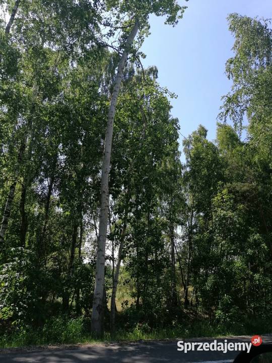 Udział w nieruchomości gruntowej niezabudowanej Parczew