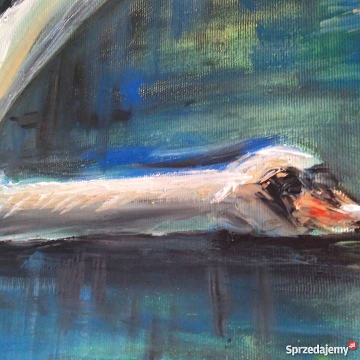 Obraz olejny Jeziorem 60 x 80 zachodniopomorskie Szczecin