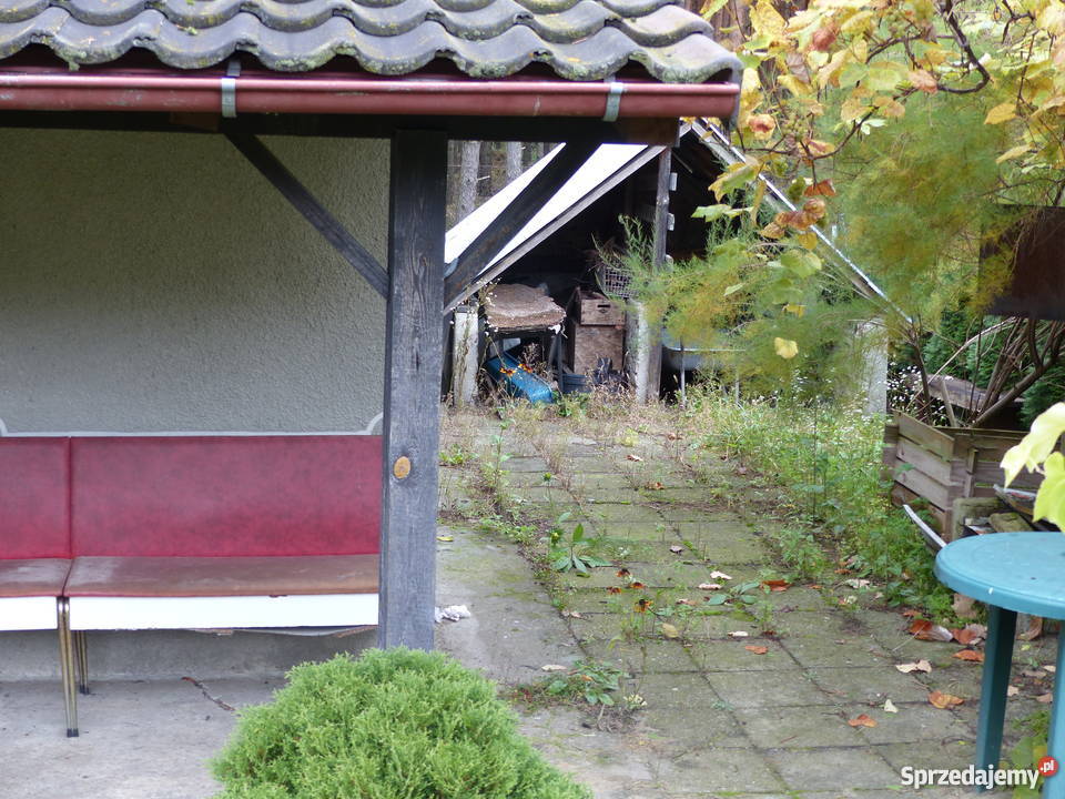 Działka rekreacyjna ROD Promyk Zielona Góra