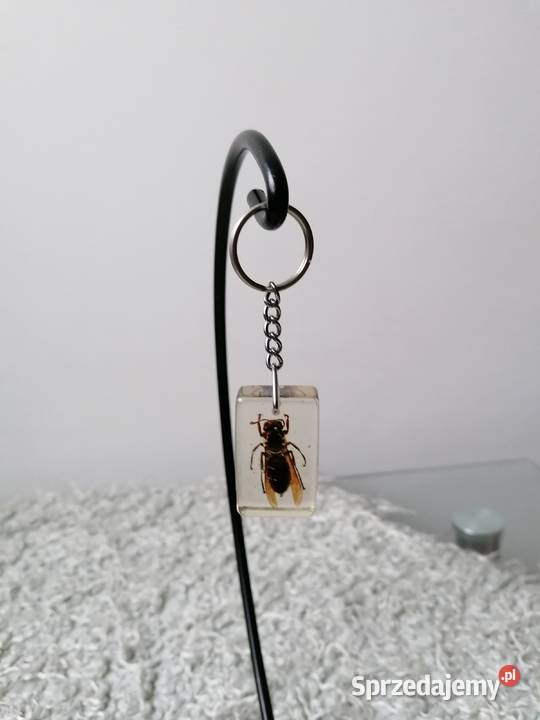 BRYLOCZEKPSZCZOŁA W ŻYWICY Pozostałe Łódź