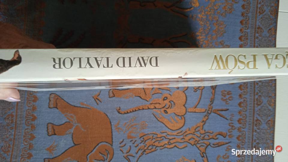 KSIĘGA PSÓW DAVID TAYLOR wydanie albumowe wielkopolskie Piła