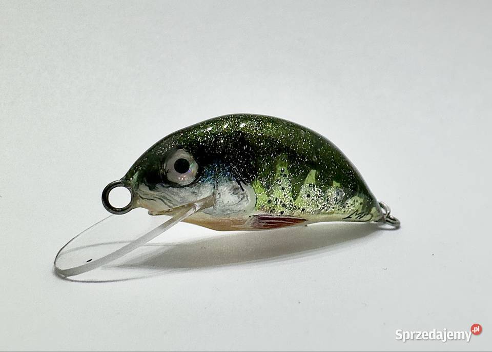 Woblery kleniowojaziowe MD Szczebrzeszyńskie Wrocław