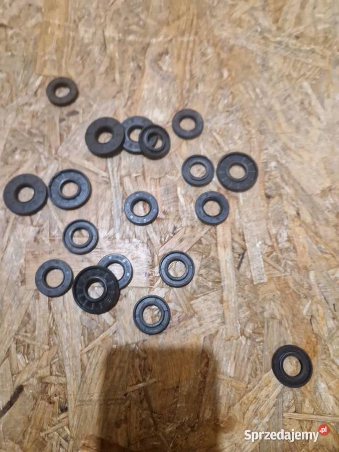 USZCZELNIACZE DO PIŁY CHIŃSKIEJ USZCZELNIACZ Głogowa