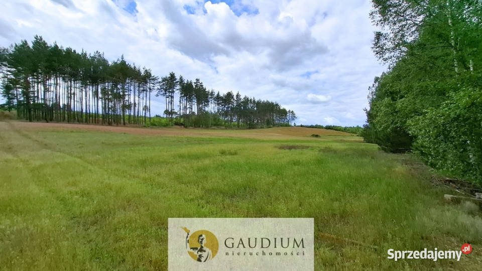 DUŻA DZIAŁKA ROLNA Z LASEM MĘCIKAŁ gm Brusy utwardzona Męcikał