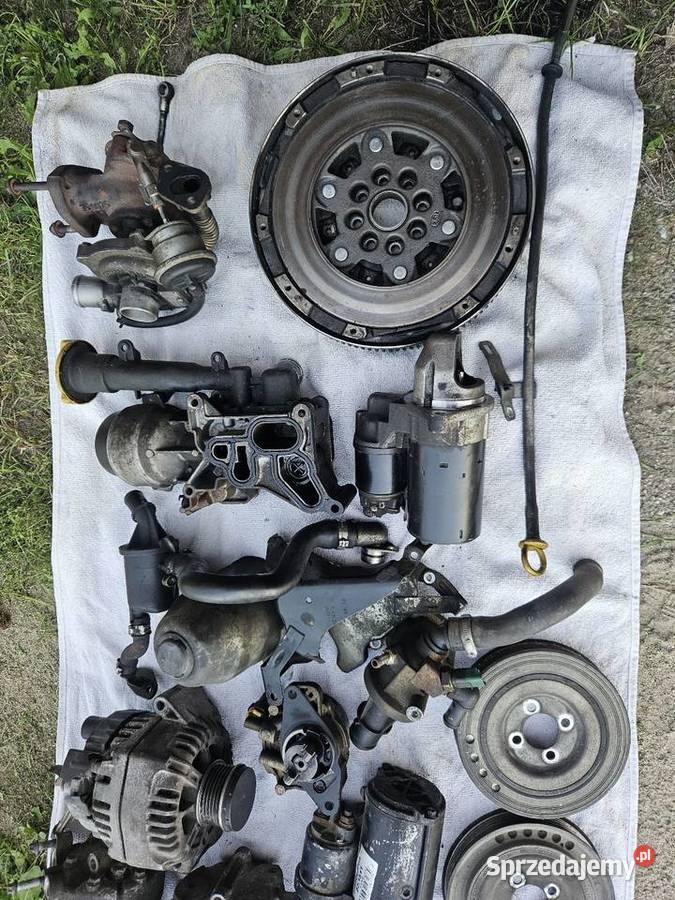 Części do silnika 13 cdti jtd tdci osobowe Trzemeszno