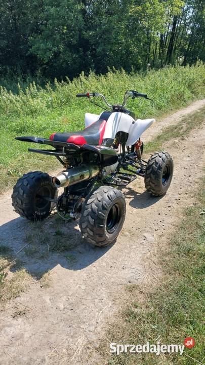 Bashan 250 manual