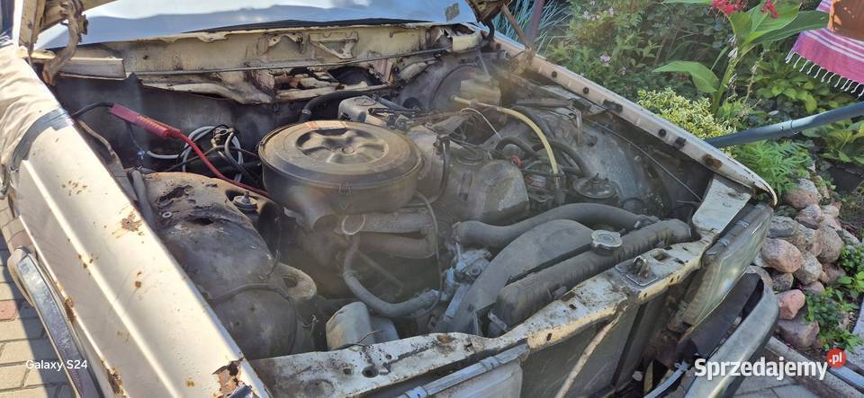 Sprzedam Mercedesa W123 Szczecin