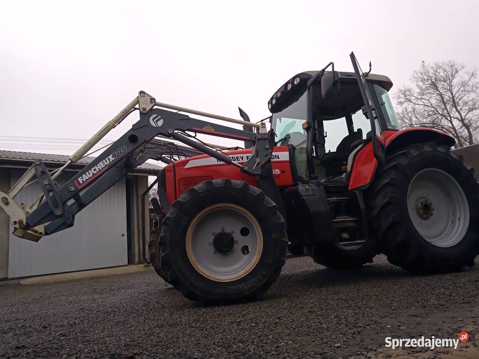 Massey Ferguson 6465 Ładowacz lubelskie Ulan-Majorat