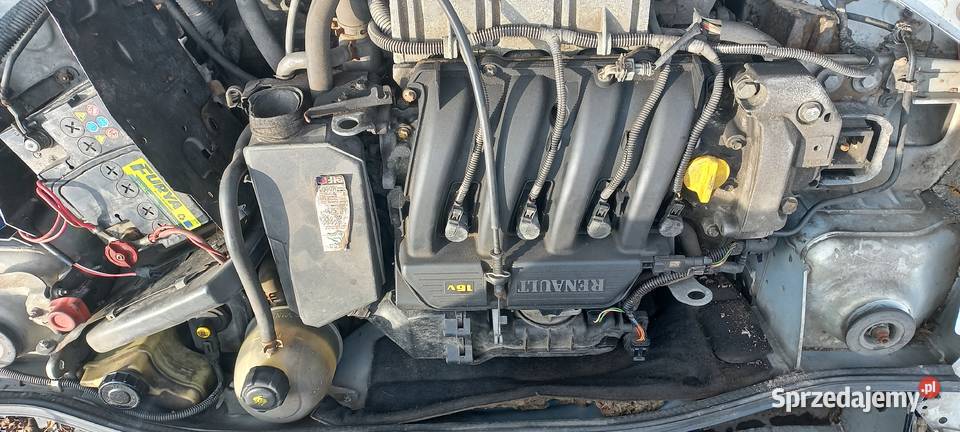 Silnik Renault Thalia clio Rok produkcji 2001 świętokrzyskie