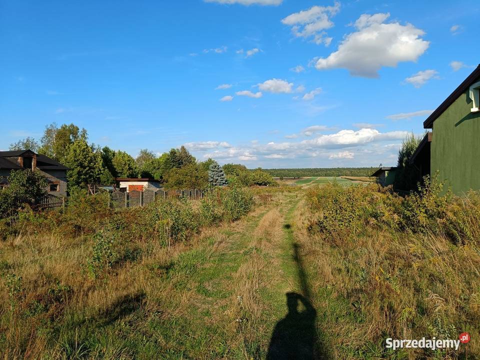 Sprzedam atrakcyjną działkę 3000mkw Dąbrówka Dąbrówka Duża