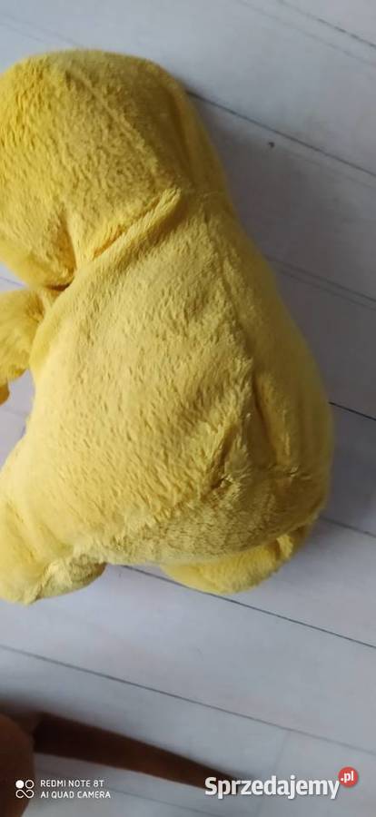 miś zabawka pluszowa maskotka pluszak Poznań