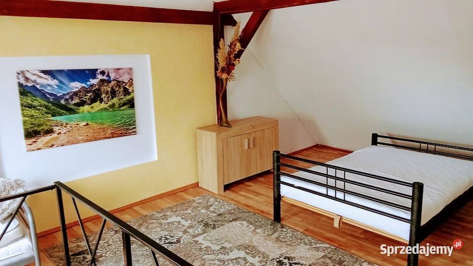 Wynajmę Domek GÓRY SOWIE