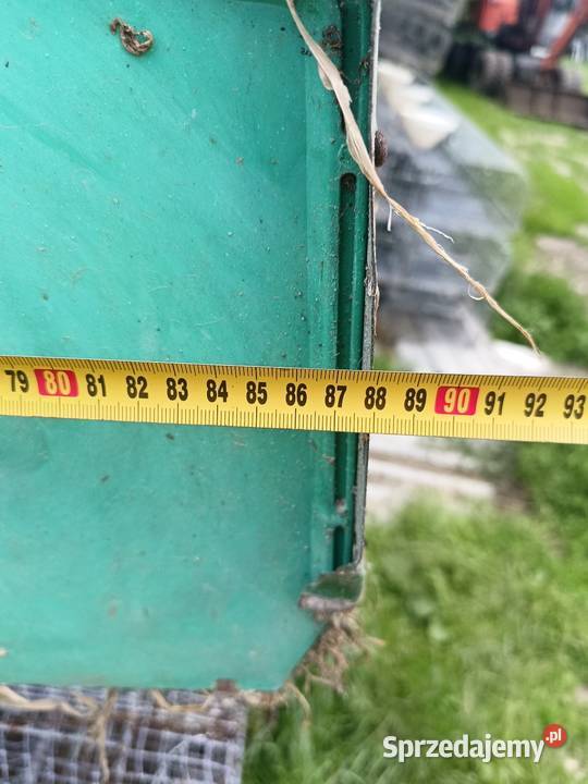 Klatki królików meneghin wielkopolskie