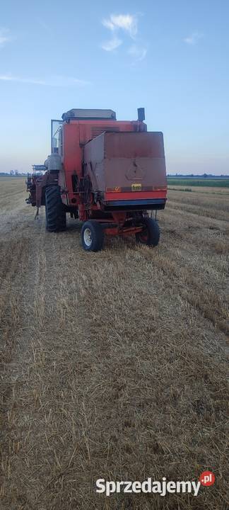 Kombajn zbożowy bizon Zbuczyn