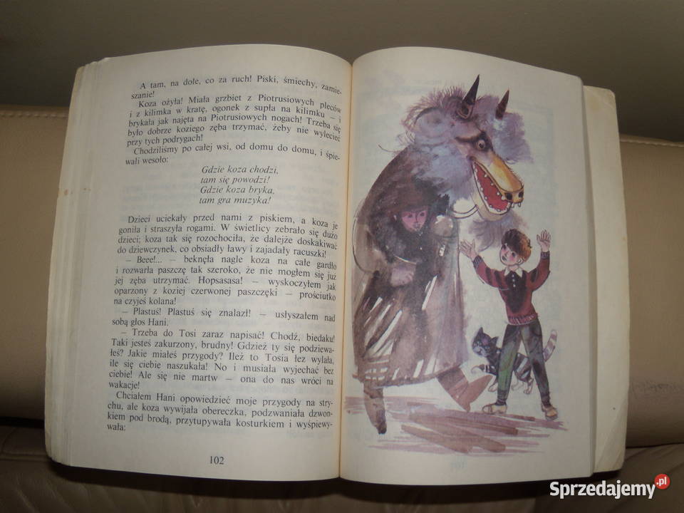 Plastusiowy pamiętnik Maria Kownacka miękka Kultura i Rozrywka Warszawa