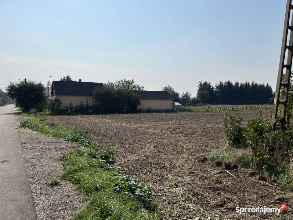 Działka rolnobudowlana 062 ha w Gołębiu kPuław Gołąb