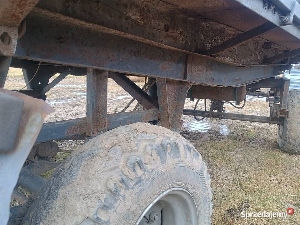 Przyczepa Autosan D47A nieuszkodzony Pępowo