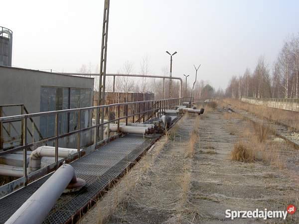 Sprzedamwynajmę terminal przeładunkowy LHS inwestycyjna Grzybów